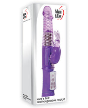 Load image into Gallery viewer, Eve's First Rechargeable Rabbit - Purple
