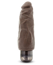 Load image into Gallery viewer, Blush Dr. Skin Mr Skin Vibe 9 - Chocolate
