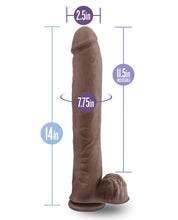 Load image into Gallery viewer, Blush Au Naturel Daddy 14" Sensa Feel Dual Density Dong W-suction Cup - Chocolate