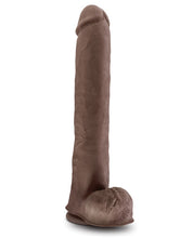 Load image into Gallery viewer, Blush Au Naturel Daddy 14" Sensa Feel Dual Density Dong W-suction Cup - Chocolate