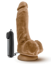 Load image into Gallery viewer, Blush Loverboy The Boxer 9" Vibrating Realistic Cock - Mocha