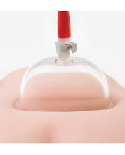 Load image into Gallery viewer, Temptasia Intense Pussy Pump System
