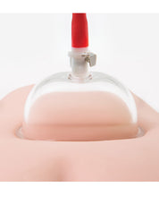 Load image into Gallery viewer, Temptasia Advanced Pussy Pump System