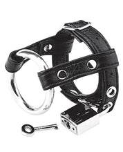 Load image into Gallery viewer, Blue Line C&amp;b Dual Cock &amp; Ball Lock