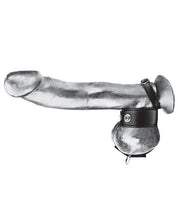 Load image into Gallery viewer, Blue Line C&amp;b Cock Ring W-1" Ball Stretcher &amp; Optional Weight Ring