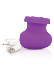 Load image into Gallery viewer, Screaming O Rub-it! - Purple