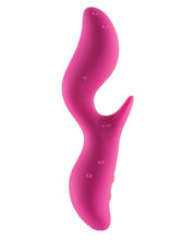 Load image into Gallery viewer, The Black Swan