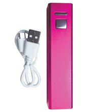 Load image into Gallery viewer, Palm Power Plug &amp; Play