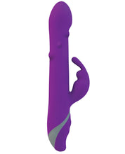 Load image into Gallery viewer, Commotion The Rhumba Rabbit - Purple