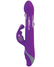 Load image into Gallery viewer, Commotion The Rhumba Rabbit - Purple