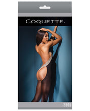Load image into Gallery viewer, Sleek Sheer Nylon Halter Style Bodystocking W-cutout Thong Back Black-leopard O-s
