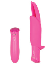 Load image into Gallery viewer, Closet Collection Isabella Rechargeable Bunny Set - Pink