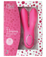 Load image into Gallery viewer, Closet Collection Vivienne Rechargeable Bunny - Pink
