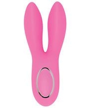 Load image into Gallery viewer, Closet Collection Vivienne Rechargeable Bunny - Pink