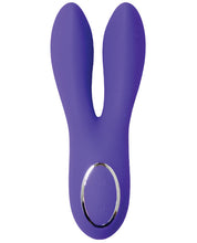 Load image into Gallery viewer, Closet Collection Vivienne Rechargeable Bunny - Purple