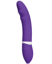 Load image into Gallery viewer, Ivibe Select Ibend - Purple