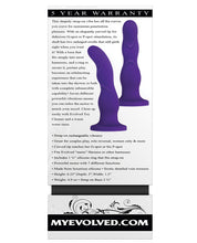 Load image into Gallery viewer, Evolved Love Harnessed- Purple