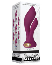 Load image into Gallery viewer, Evolved Light Up Radiant - Plum