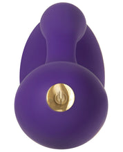 Load image into Gallery viewer, Evolved Aurora- Purple