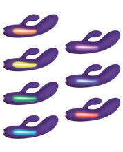 Load image into Gallery viewer, Evolved Aurora- Purple
