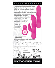 Load image into Gallery viewer, Evolved Sugar Bunny - Pink