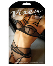 Load image into Gallery viewer, Vixen Dark Desires Net Bra W-choker Collar, Criss-cross Garterbelt &amp; Panty Black Qn