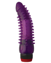 Load image into Gallery viewer, Jelly Caribbean Calypso Vibe - Purple