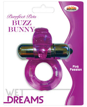 Load image into Gallery viewer, Wet Dreams Purrfect Pet Buzz Bunny - Purple