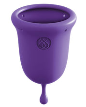 Load image into Gallery viewer, Jimmyjane Intimate Care Menstrual Cups - Purple