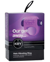 Load image into Gallery viewer, Key Halo - Lavender