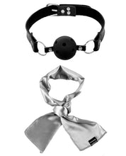 Load image into Gallery viewer, Fetish Fantasy Limited Edition Series Ultimate Bondage Kit