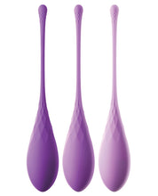 Load image into Gallery viewer, Fantasy For Her Kegel Train-her Set