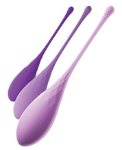 Load image into Gallery viewer, Fantasy For Her Kegel Train-her Set