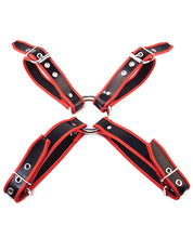 Load image into Gallery viewer, Rouge Chest Harness Large - Black-red