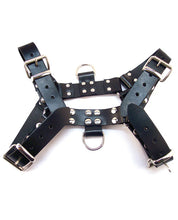 Load image into Gallery viewer, Rouge Over The Head Medium Harness