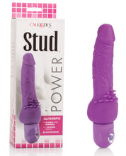 Load image into Gallery viewer, Power Stud Cliterrific Dong Waterproof - Purple