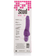 Load image into Gallery viewer, Power Stud Cliterrific Dong Waterproof - Purple