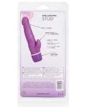 Load image into Gallery viewer, Spellbound Double Jack - Purple