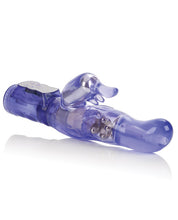 Load image into Gallery viewer, Wild G - Purple