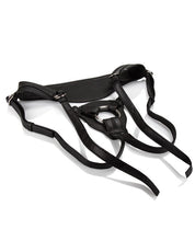 Load image into Gallery viewer, Her Royal Harness The Queen