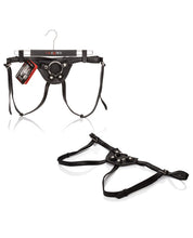 Load image into Gallery viewer, Her Royal Harness The Countess W-hanger