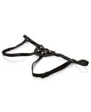 Load image into Gallery viewer, Her Royal Harness The Countess W-hanger