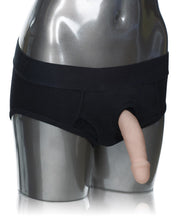 Load image into Gallery viewer, Packer Gear Brief Harness M-l - Black