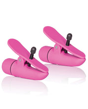 Load image into Gallery viewer, Nipple Play Nipplettes - Pink