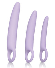 Load image into Gallery viewer, Dr. Laura Berman Alena Silicone Dilators - Set Of 3