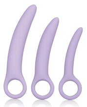 Load image into Gallery viewer, Dr. Laura Berman Alena Silicone Dilators - Set Of 3