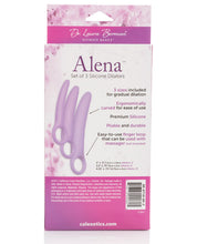 Load image into Gallery viewer, Dr. Laura Berman Alena Silicone Dilators - Set Of 3
