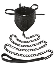 Load image into Gallery viewer, Sincerely Lace Posture Collar &amp; Leash