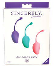 Load image into Gallery viewer, Sincerely Kegel System - 3 Piece Set