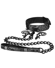 Load image into Gallery viewer, Steamy Shades Collar W-leash &amp; Nipple Clamps